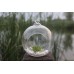 Clear Glass Round with 1 Hole Flower Plant Stand Hanging Vase Hydroponic Decor   112055284144